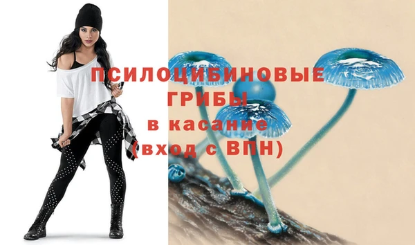 синтетический гашиш Лабытнанги