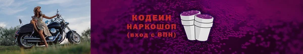хмурый Ладушкин