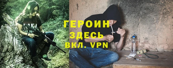 хмурый Ладушкин