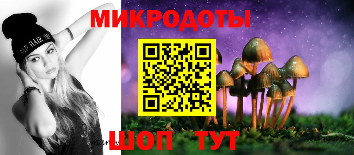 Галлюциногенные грибы мицелий  Вход с VPN  Светлоград  где найти   Галлюциногенные грибы Psilocybe 